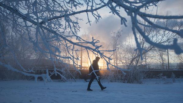 Abnormally cold weather in Moscow - Sputnik International