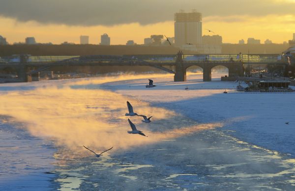 Coldest in Over 100 Years: Moscow Celebrates Christmas With a Shiver Coldest in Over 100 Years: Moscow Celebrates Christmas With a Shiver - Sputnik International