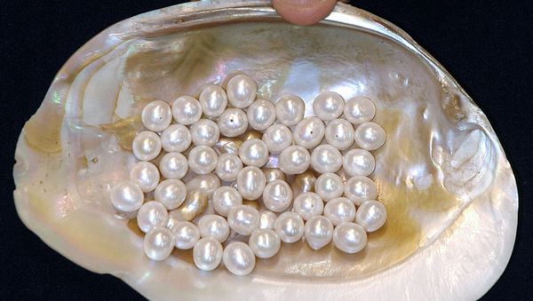 Pearls - Sputnik International
