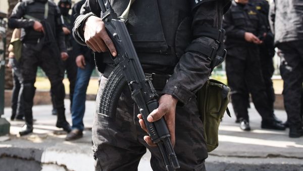 Members of the Egyptian police. (File) - Sputnik International