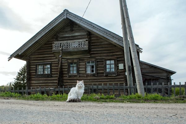 Meet Kinerma, the Most Beautiful Village in Russia Meet Kinerma, the Most Beautiful Village in Russia - Sputnik International
