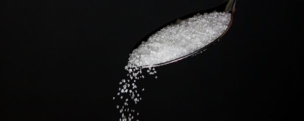 Sugar Sugar - Sputnik International