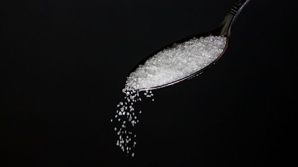 Sugar Sugar - Sputnik International