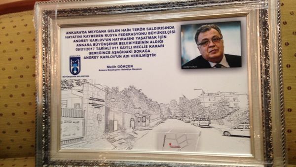 Andrei Karlov Street Andrei Karlov Street - Sputnik International