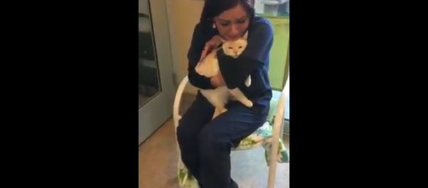 My sister found her cat that has been lost since June 2015 My sister found her cat that has been lost since June 2015 - Sputnik International
