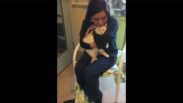 My sister found her cat that has been lost since June 2015 My sister found her cat that has been lost since June 2015 - Sputnik International