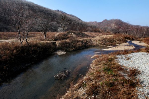 Barabash village in the Land of the Leopard National Park in the Khasan district of Primorye Barabash village in the Land of the Leopard National Park in the Khasan district of Primorye - Sputnik International