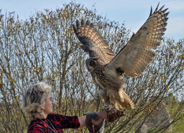 Raptor nursery in Galichya Gora nature reserve Raptor nursery in Galichya Gora nature reserve - Sputnik International