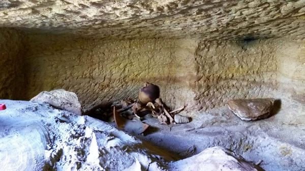 High-Resolution 3D X-Ray Scans Solve Intrigue of Ancient Egyptian Animal Mummies, Study Says - Sputnik International