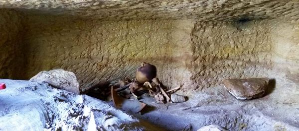 Skeletal and animal remains are seen at one of12 newly discovered ancient Egyptian cemeteries dating back to the New Kingdom era, specifically the reigns of phaoroes Thutmose III and Amenhotep II, at Gabal al-Silsila or Chain of Mountains area in Upper Egypt, north of Aswan, January 11, 2017 - Sputnik International