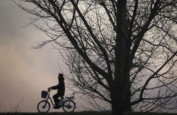 This is What Life Looks Like in DPRK During New Year Holidays and Work Days - Sputnik International