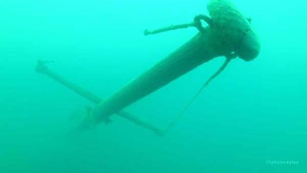 Shipwreck discovered in Lake Van Shipwreck discovered in Lake Van - Sputnik International