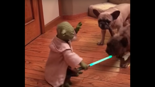 Star Wars’ Yoda Faces a New Evil Within the Force - Sputnik International