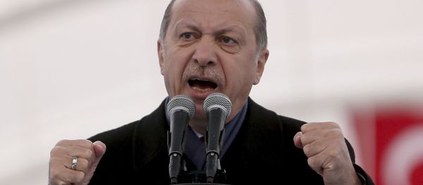 President Recep Tayyip Erdogan (File) President Recep Tayyip Erdogan (File) - Sputnik International