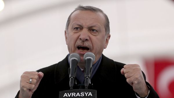President Recep Tayyip Erdogan (File) President Recep Tayyip Erdogan (File) - Sputnik International