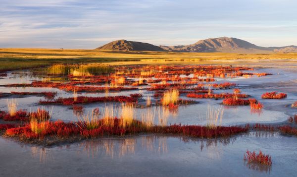 Sublime Beauty of Russian Nature Reserves Sublime Beauty of Russian Nature Reserves - Sputnik International