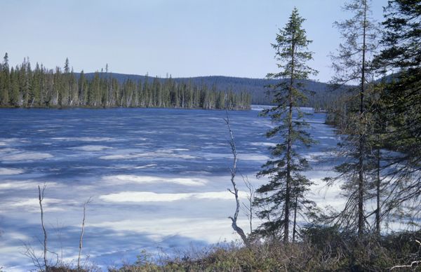 Sublime Beauty of Russian Nature Reserves Sublime Beauty of Russian Nature Reserves - Sputnik International