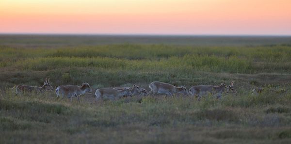 Sublime Beauty of Russian Nature Reserves Sublime Beauty of Russian Nature Reserves - Sputnik International
