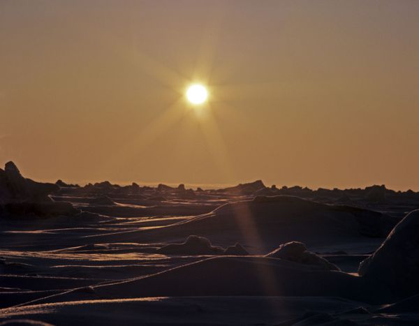 Sublime Beauty of Russian Nature Reserves Sublime Beauty of Russian Nature Reserves - Sputnik International