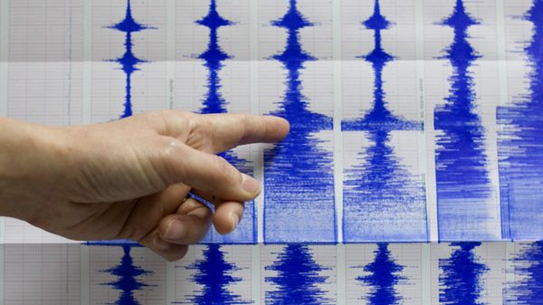 Seismograph  - Sputnik International