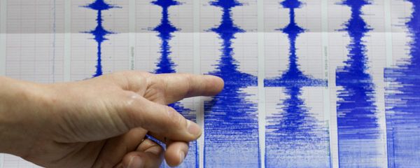 Seismograph Seismograph - Sputnik International