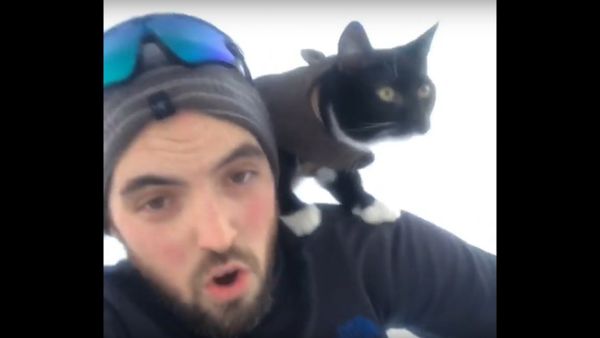 Sledding with my cat. - Sputnik International