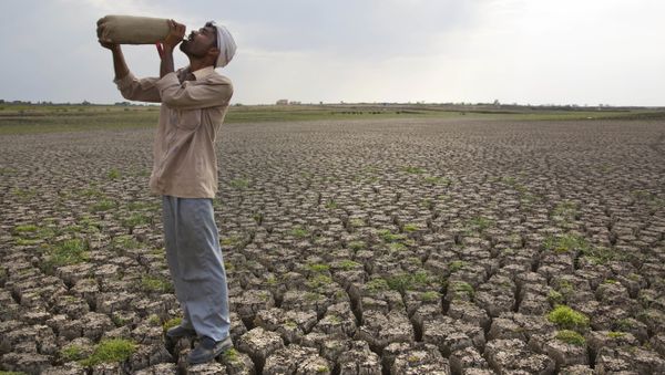 Shepard drinks water on the dry bed of Manjara Dam, which supplies water to Latur and nearby villages in Marathwada region, in the Indian state of Maharashtra. (File) - Sputnik International