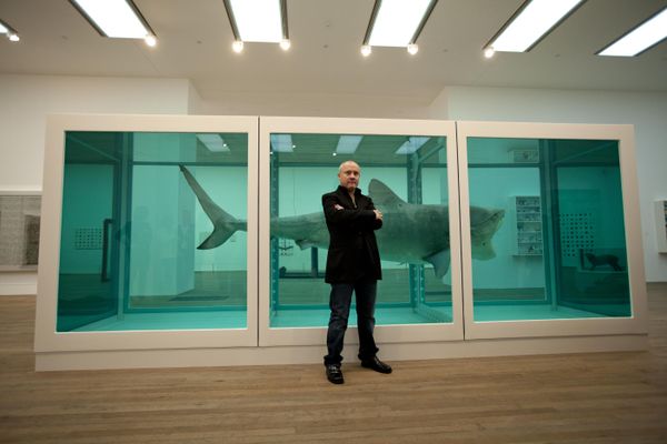British artist Damien Hirst poses for photographers beside the 1991 piece The Physical Impossibility of Death in the Mind of Someone Living. (File) - Sputnik International