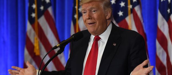 US President-elect Donald Trump speaks during a press conference January 11, 2017 at Trump Tower in New York US President-elect Donald Trump speaks during a press conference January 11, 2017 at Trump Tower in New York - Sputnik International
