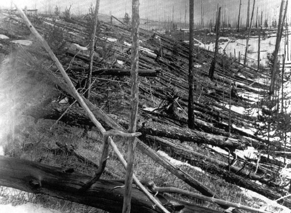Trees lie strewn across the Siberian countryside 45 years after a meteorite struck the Earth near Tunguska, Russia. (File) Trees lie strewn across the Siberian countryside 45 years after a meteorite struck the Earth near Tunguska, Russia. (File) - Sputnik International