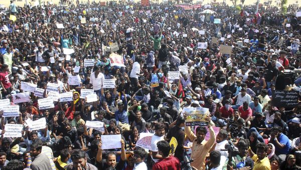 Protestors gather at Marina beach demanding a ban be lifted on the traditional sport of bull-taming, or Jallikattu, in Chennai, India Protestors gather at Marina beach demanding a ban be lifted on the traditional sport of bull-taming, or Jallikattu, in Chennai, India - Sputnik International
