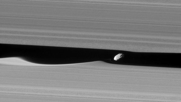 Daphnis - Sputnik International