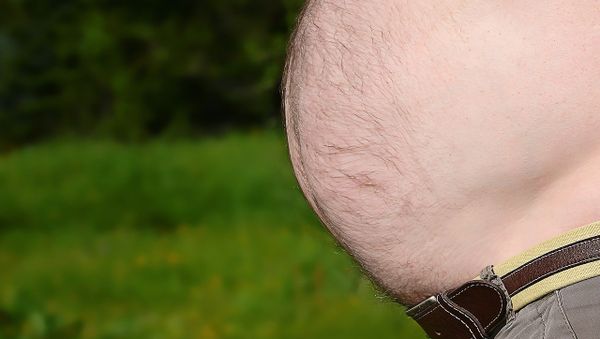 Beer belly - Sputnik International