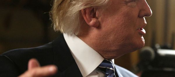 US President Donald Trump - Sputnik International