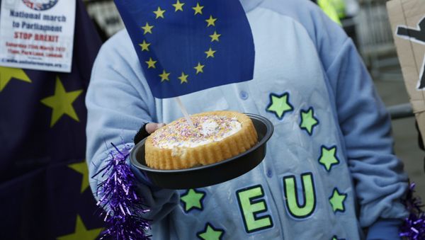 A pro-Europe supporter holds a cake with a EU flag in it, following the decision of the Supreme Court that Theresa May's government requires parliamentary approval to start the process of leaving the European Union, in Parliament Square, central London, Britain, January 24, 2017. A pro-Europe supporter holds a cake with a EU flag in it, following the decision of the Supreme Court that Theresa May's government requires parliamentary approval to start the process of leaving the European Union, in Parliament Square, central London, Britain, January 24, 2017. - Sputnik International