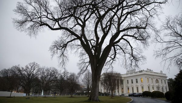 The White House on the morning of the first full day of President Donald Trump's administration, in Washington - Sputnik International