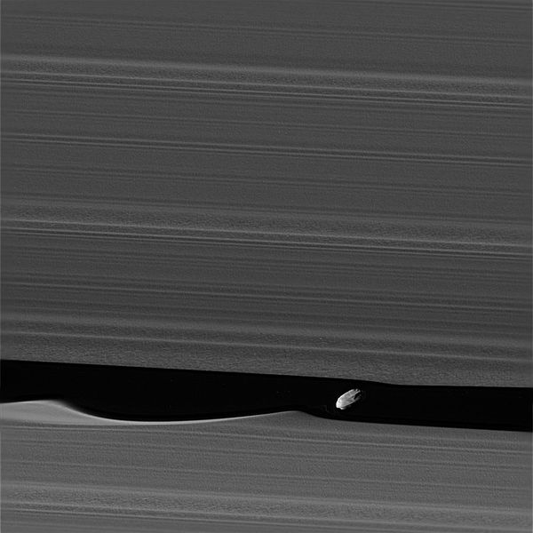 A NASA photo of Daphnis, an unusual moon of Saturn. - Sputnik International