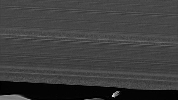 A NASA photo of Daphnis, an unusual moon of Saturn. - Sputnik International