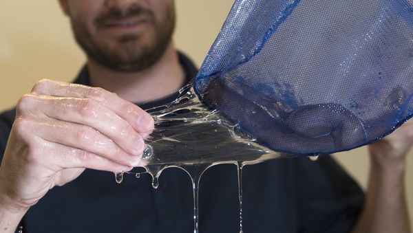 Dr. Ryan Kincer demonstrates the elasticity of the hagfish slime secreted from the the Pacific hagfish within the net aboard Naval Surface Warfare Center Panama City Division (NSWC PCD) Nov. 29, 2016. Dr. Ryan Kincer demonstrates the elasticity of the hagfish slime secreted from the the Pacific hagfish within the net aboard Naval Surface Warfare Center Panama City Division (NSWC PCD) Nov. 29, 2016. - Sputnik International