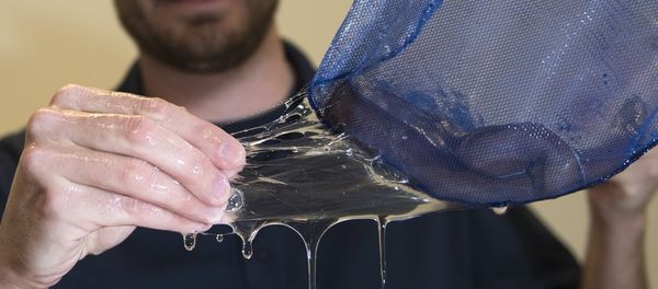 Dr. Ryan Kincer demonstrates the elasticity of the hagfish slime secreted from the the Pacific hagfish within the net aboard Naval Surface Warfare Center Panama City Division (NSWC PCD) Nov. 29, 2016. Dr. Ryan Kincer demonstrates the elasticity of the hagfish slime secreted from the the Pacific hagfish within the net aboard Naval Surface Warfare Center Panama City Division (NSWC PCD) Nov. 29, 2016. - Sputnik International