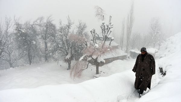 An Indian Kashmiri villager walks through snow in Gund, some 70km northeast from Srinagar An Indian Kashmiri villager walks through snow in Gund, some 70km northeast from Srinagar - Sputnik International