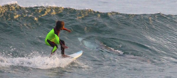 10-year-old Eden Hasson surfs near what is believed to be a great white shark at Samurai Beach, Port Stephens, Australia. - Sputnik International