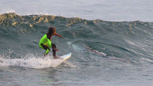 10-year-old Eden Hasson surfs near what is believed to be a great white shark at Samurai Beach, Port Stephens, Australia. 10-year-old Eden Hasson surfs near what is believed to be a great white shark at Samurai Beach, Port Stephens, Australia. - Sputnik International
