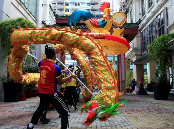 Enter the Rooster: Chinese New Year 2017 Celebrations - Sputnik International