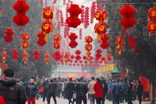 Enter the Rooster: Chinese New Year 2017 Celebrations - Sputnik International