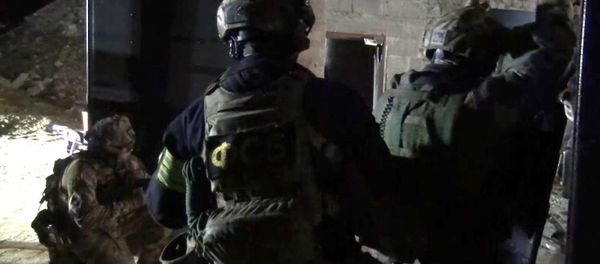 Law enforcement officers during a special operation. (File) - Sputnik International