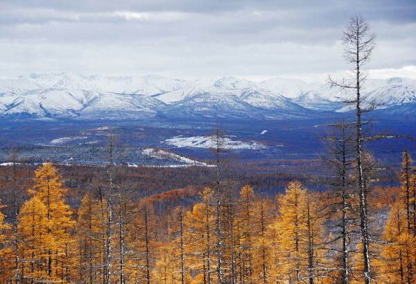From Now On Any Russian Can Be Modern Frontiersman to Conquer Wild East From Now On Any Russian Can Be Modern Frontiersman to Conquer Wild East - Sputnik International