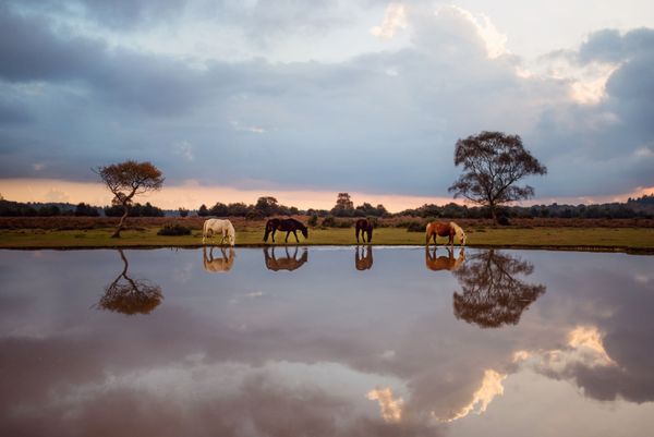 Travel the World Virtually With National Geographic’s Photo Contest Finalists Travel the World Virtually With National Geographic’s Photo Contest Finalists - Sputnik International