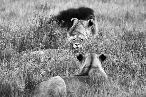 Travel the World Virtually With National Geographic’s Photo Contest Finalists Travel the World Virtually With National Geographic’s Photo Contest Finalists - Sputnik International