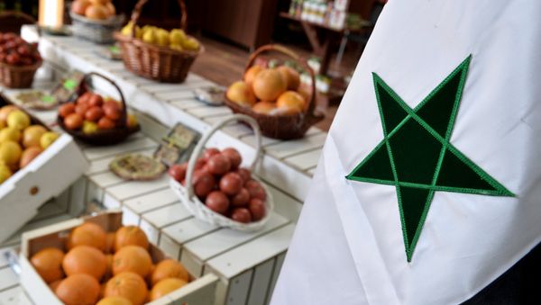 Fruits and vegetables sold at the Trade House of Syria located in the Food City agricultural cluster in Moscow. - Sputnik International